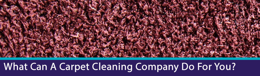 Carpet Cleaning Brisbane Services