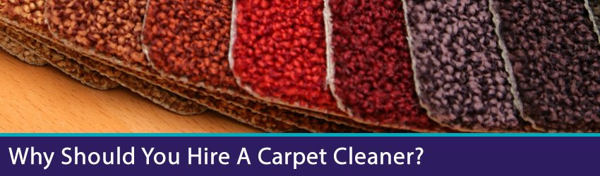 Advantages - What Can A Carpet Cleaning Company Do For You