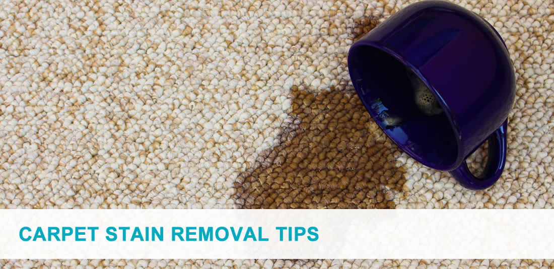 The Best Carpet Stain Removal Tips