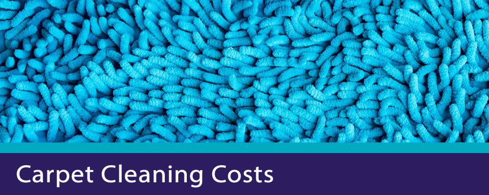 Carpet Cleaning Costs